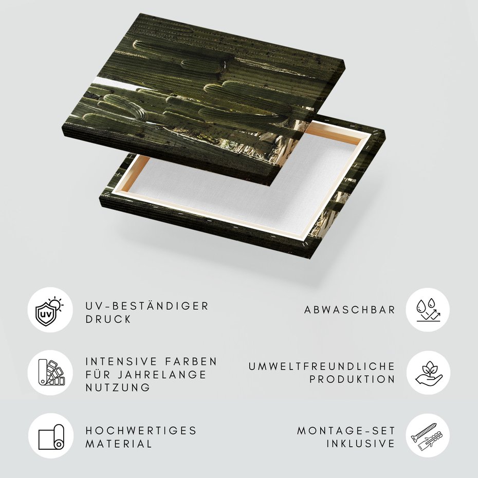 Obraz na płótnie - kaktusy, natura, pustynia