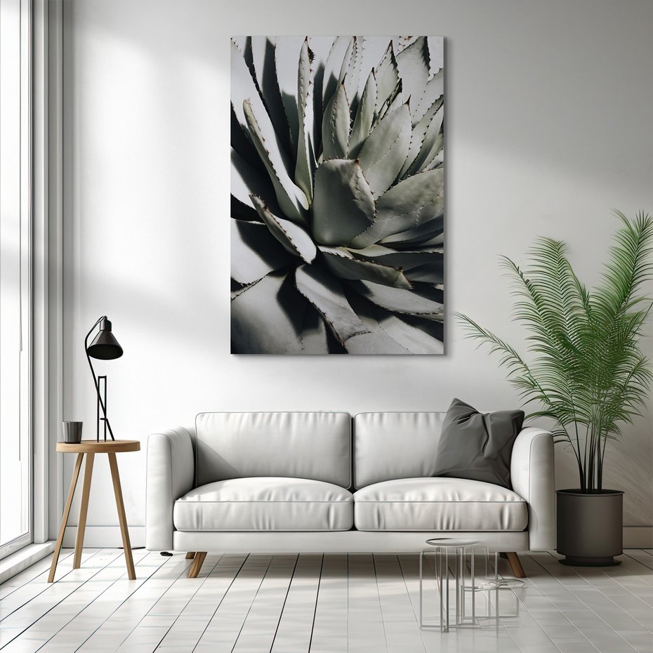 Obraz na płótnie - agawa, roślina, liście