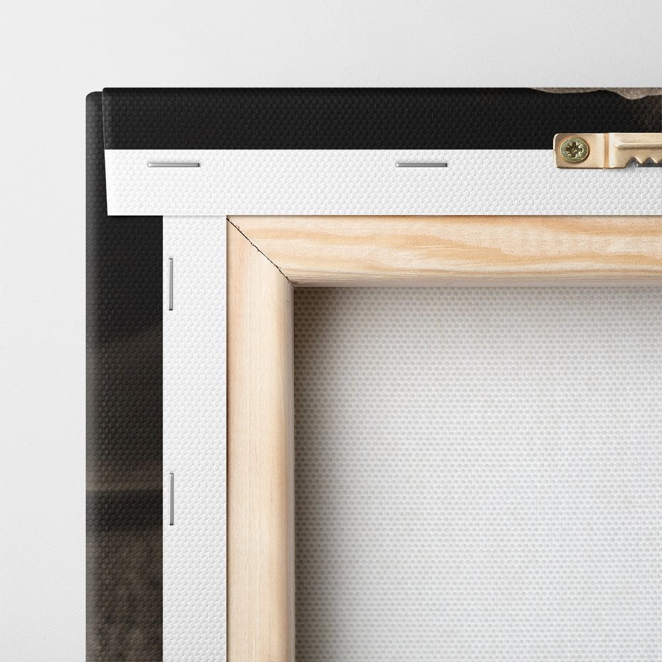 Obraz na płótnie - słoń, plaża, morze