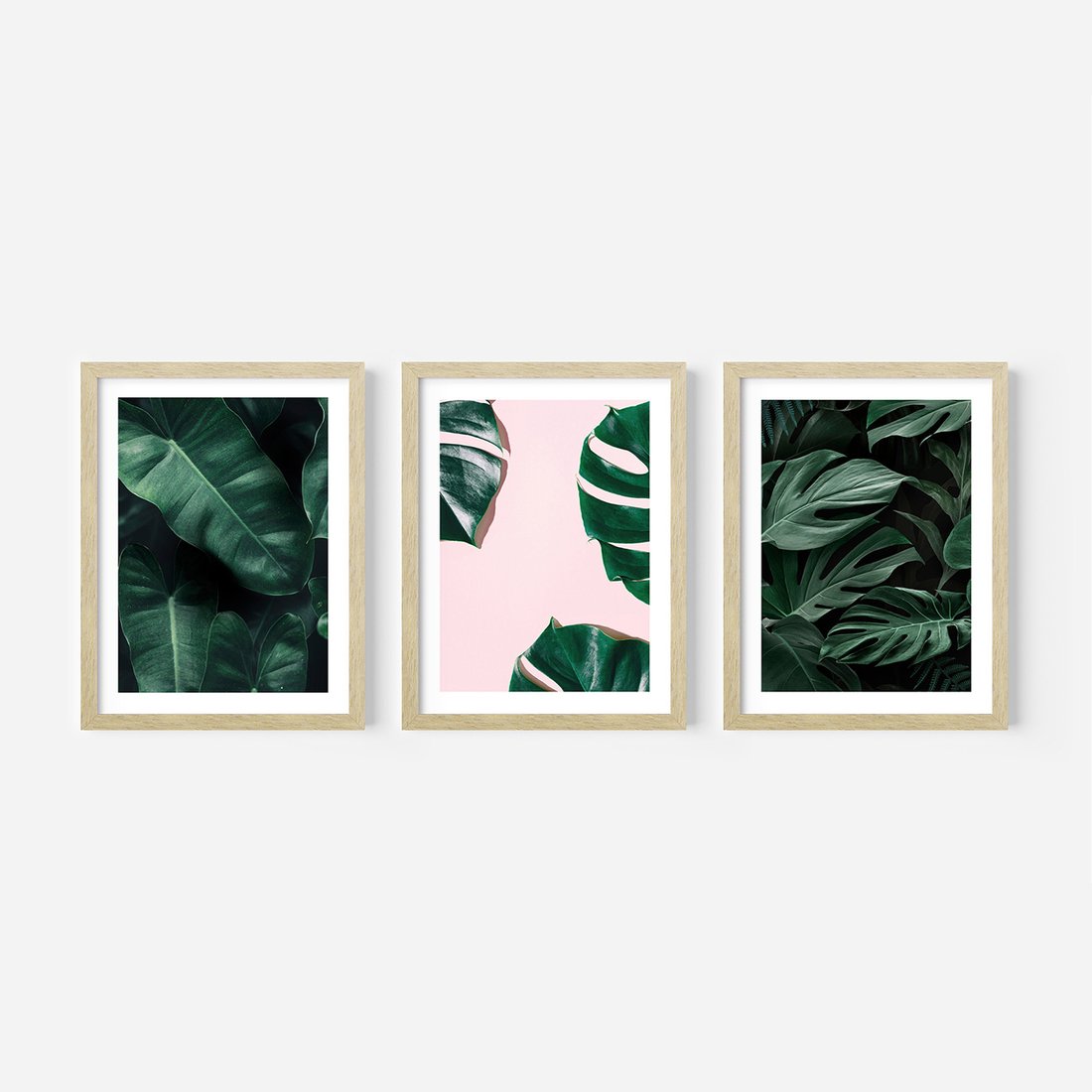 Zestaw obrazy w ramie, plakaty - liście, monstera, rośliny - rama drewno