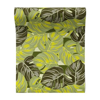 Tapeta - liście, monstera, tropikalny