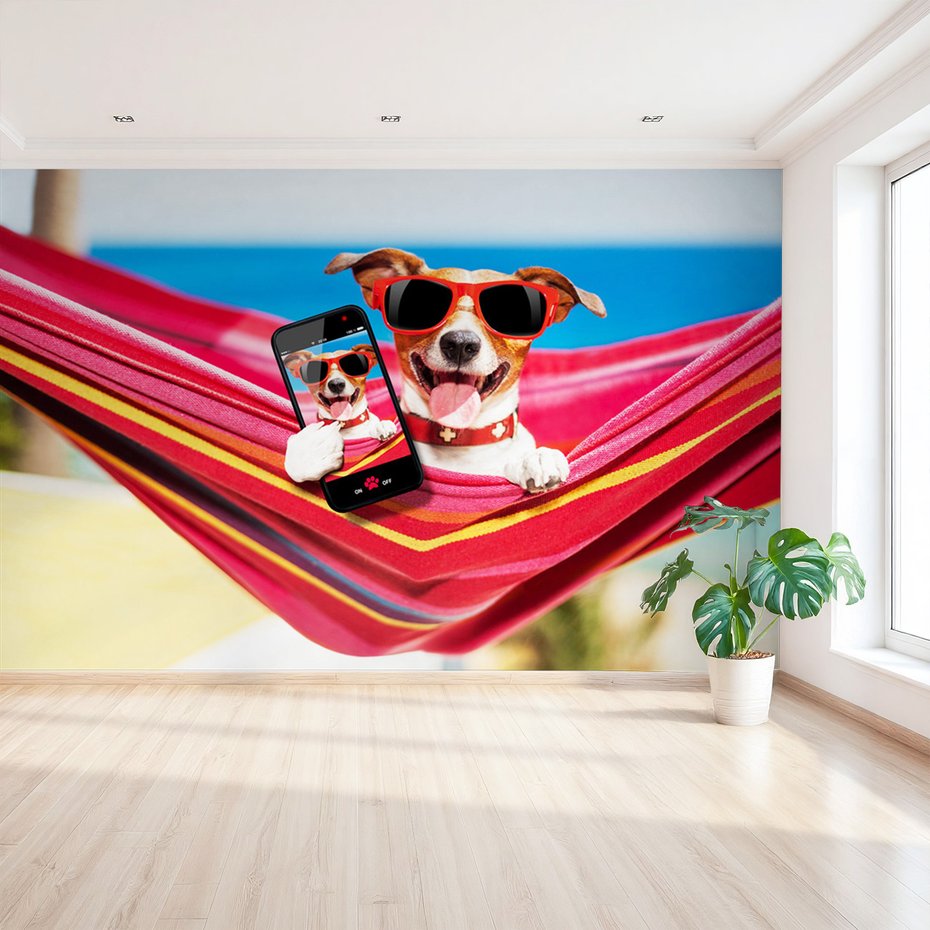 Fototapeta - pies, hamak, okulary