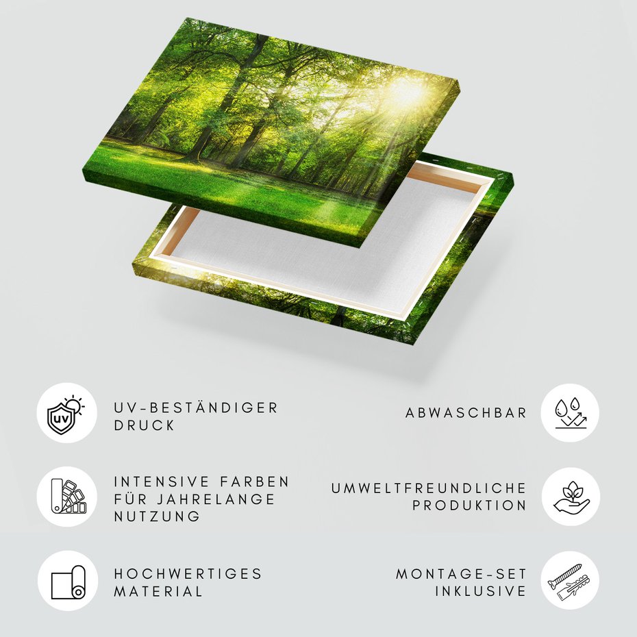 Obraz na płótnie - las, drzewa, natura