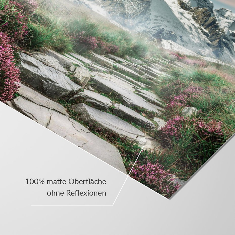 Fototapeta - góry, kamienie, kwiaty