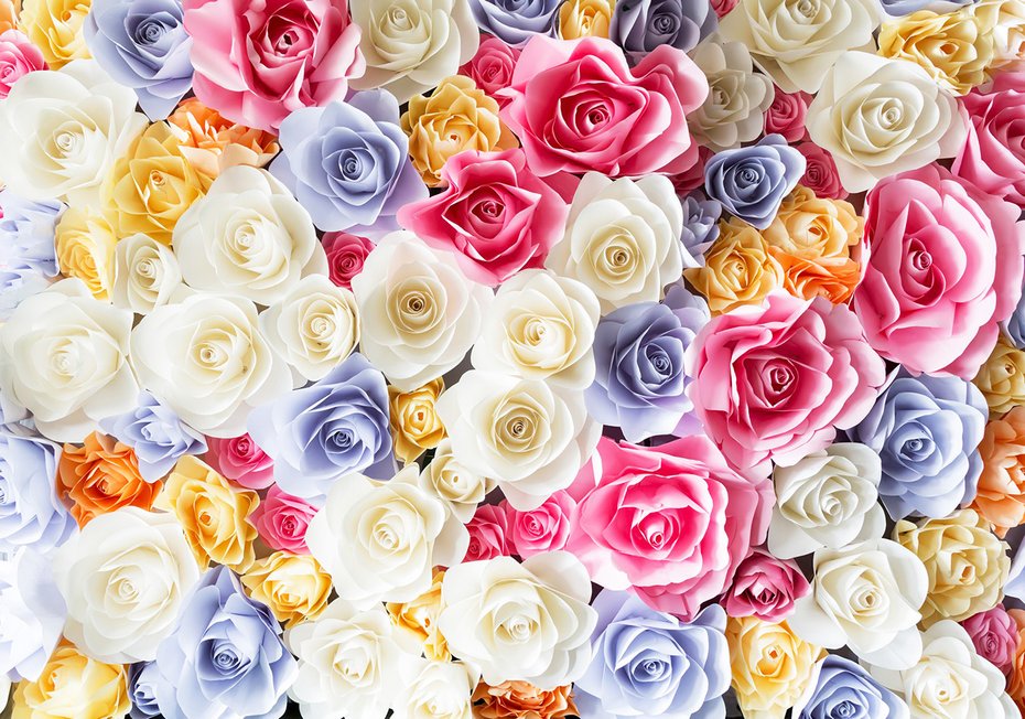 Fototapeta - kwiaty, róże, kompozycja