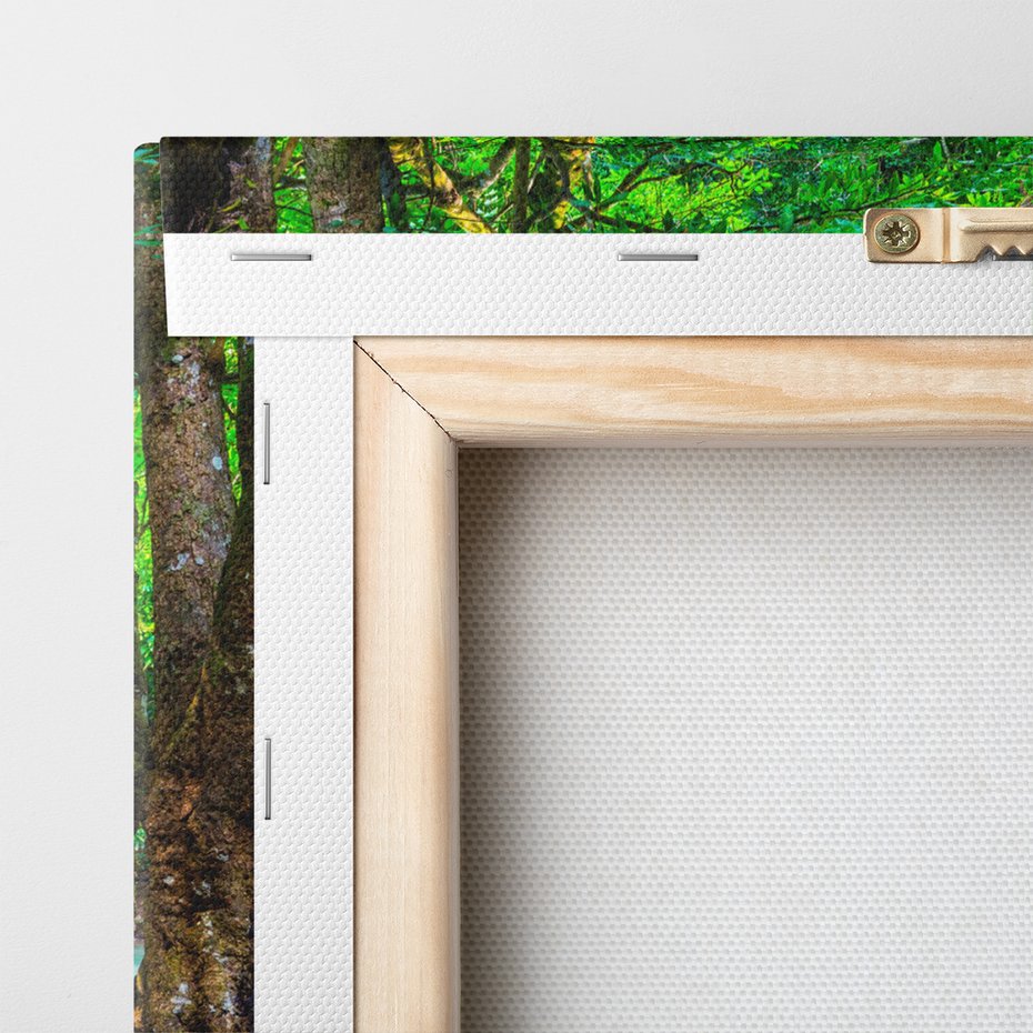 Obraz na płótnie - wodospad, las, woda