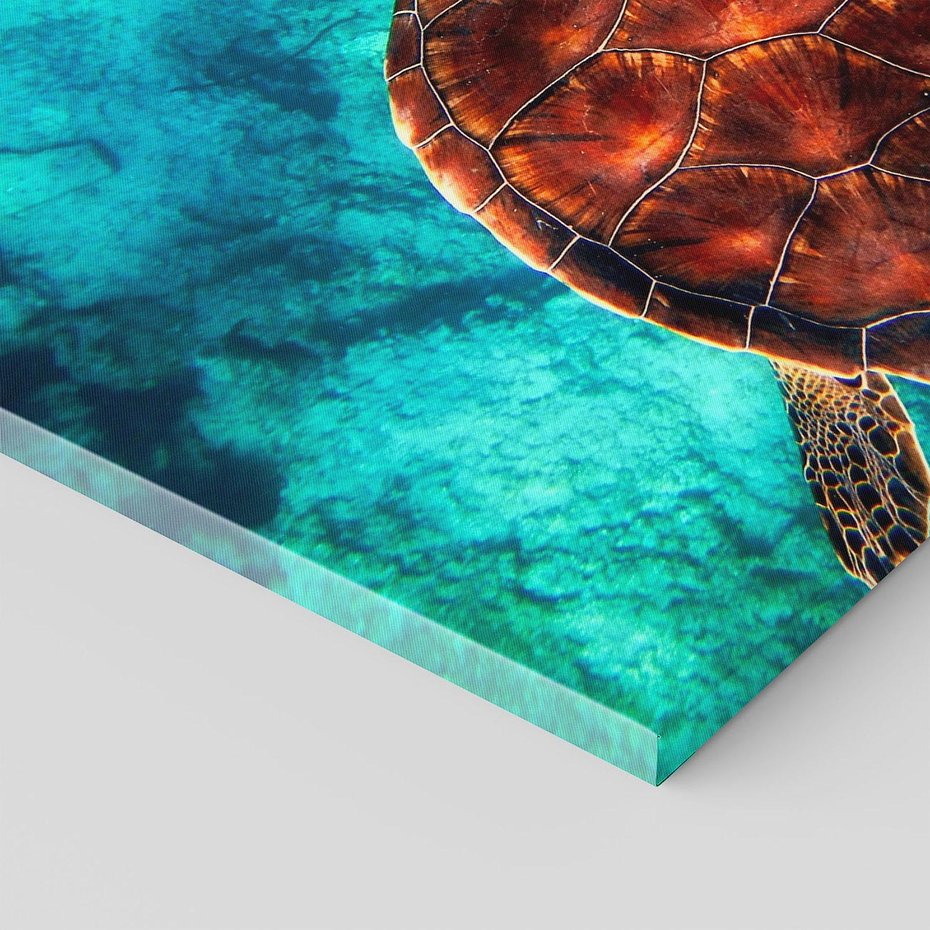 Obraz na płótnie - żółw morski, pod wodą, ocean