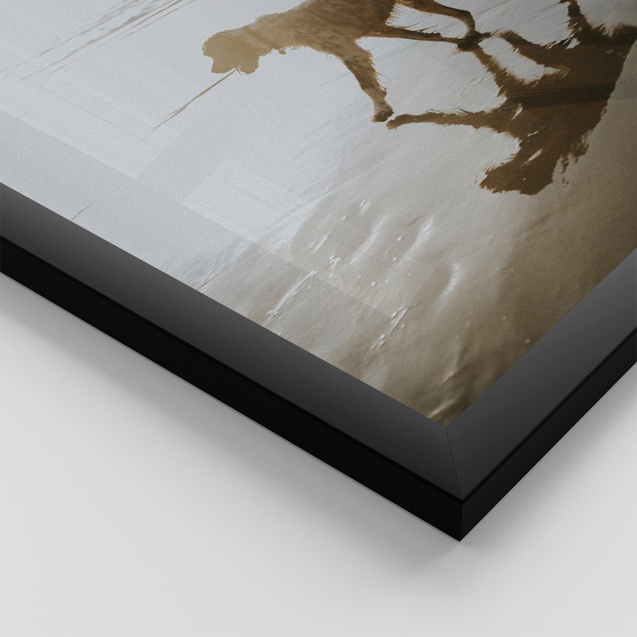 Zestaw obrazy w ramie, plakaty - plaża, morze, pies - rama czarna