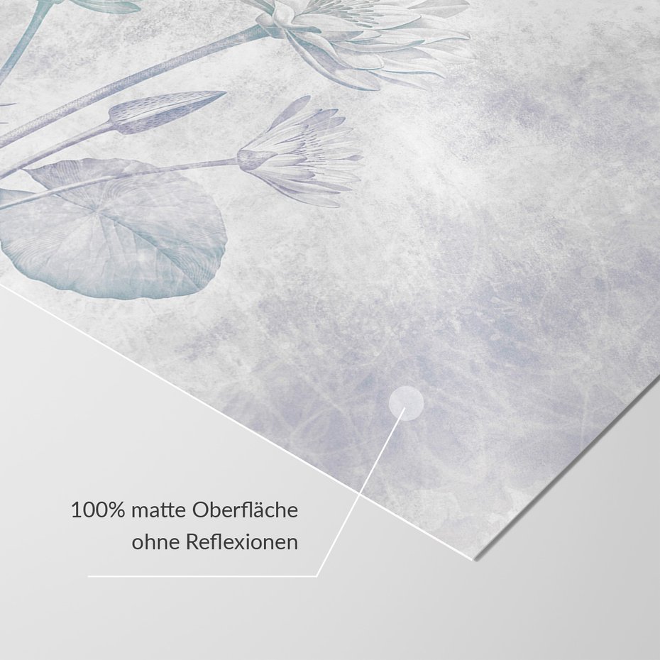 Fototapeta - abstrakcja, kwiat, szary