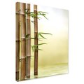Obraz na płótnie - bambus, liście, woda