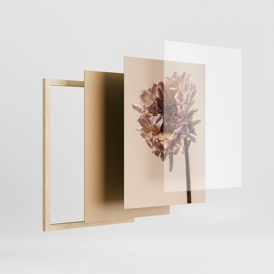 Zestaw obrazy w ramie, plakaty - liść, kwiat, suchy - rama drewno