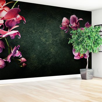 Fototapeta - kwiaty, orchidee, tło