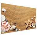 Obraz na płótnie - piasek, muszle, rozgwiazda