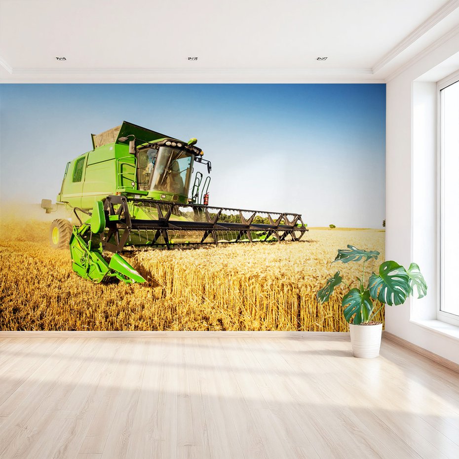 Fototapeta - żniwa, kombajn, pole