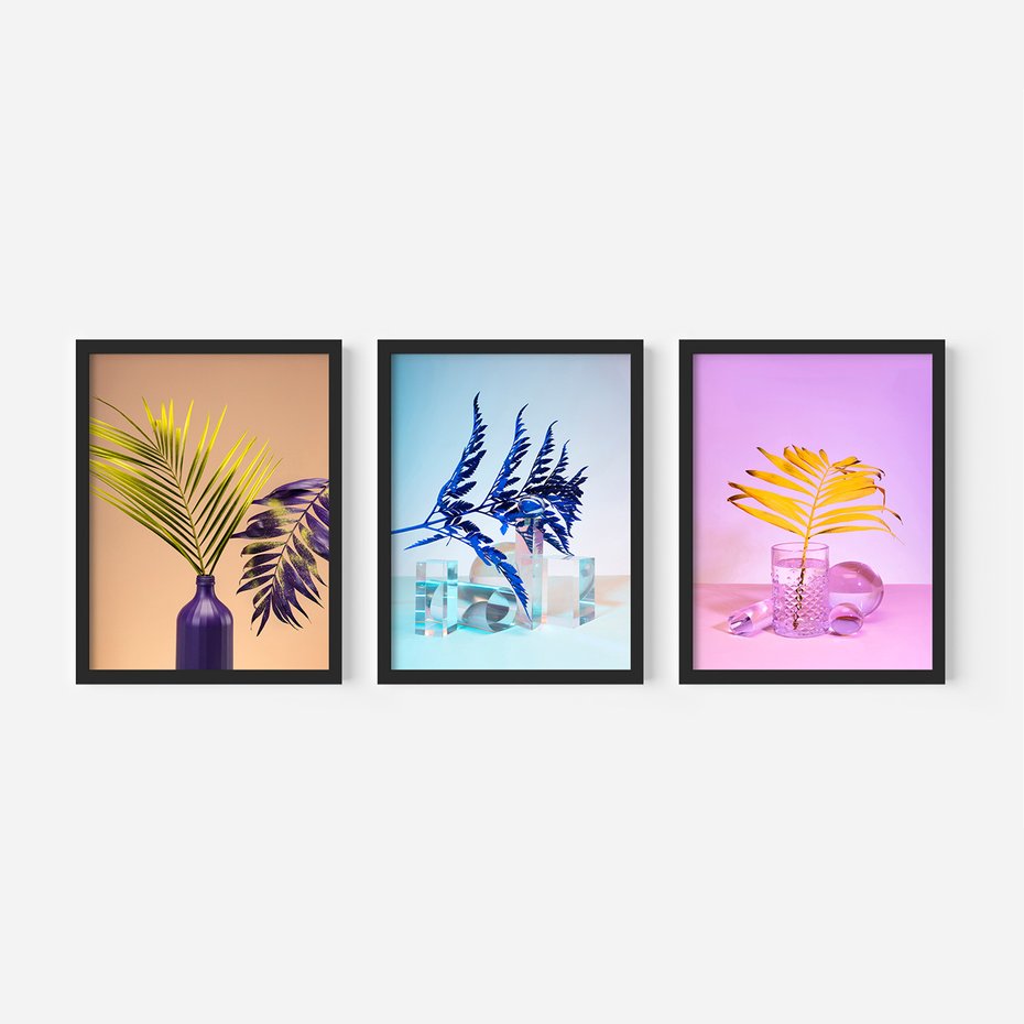 Zestaw obrazy w ramie, plakaty - liście, rośliny, minimalizm - rama czarna