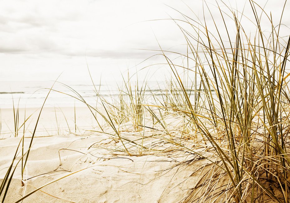 Fototapeta - plaża, piasek, trawa