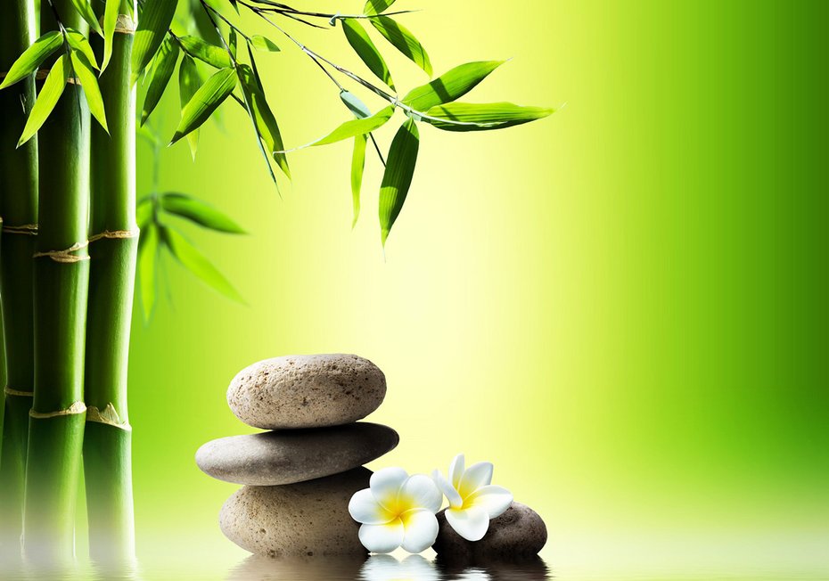 Fototapeta - bambus, kwiaty, kamienie