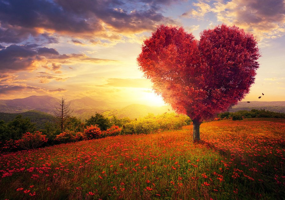 Fototapeta - drzewo serce, krajobraz, kwiaty