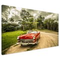 Obraz na płótnie - samochód, vintage, natura