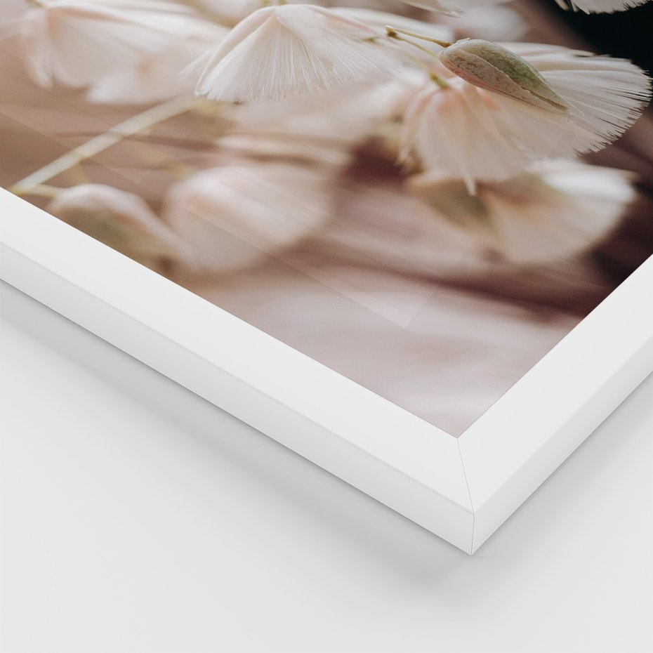 Zestaw obrazy w ramie, plakaty - kwiaty, trawa, pampasowa - rama biała