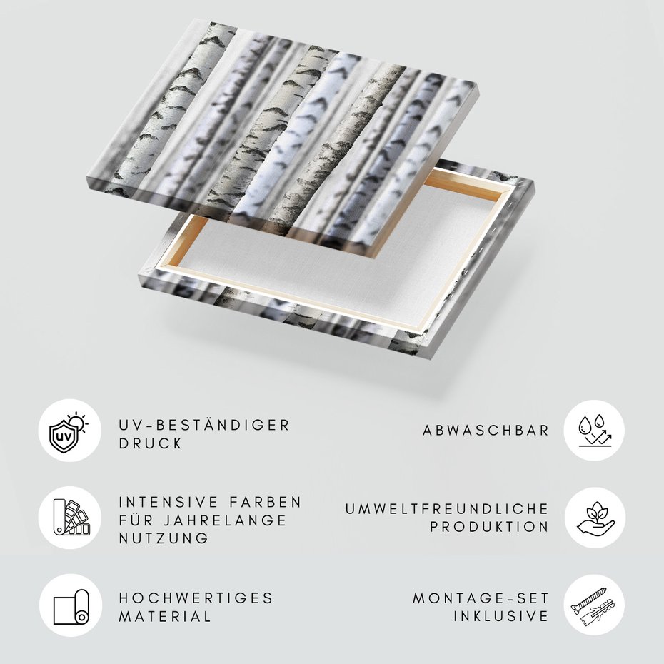 Obraz na płótnie - brzoza, drzewa, las