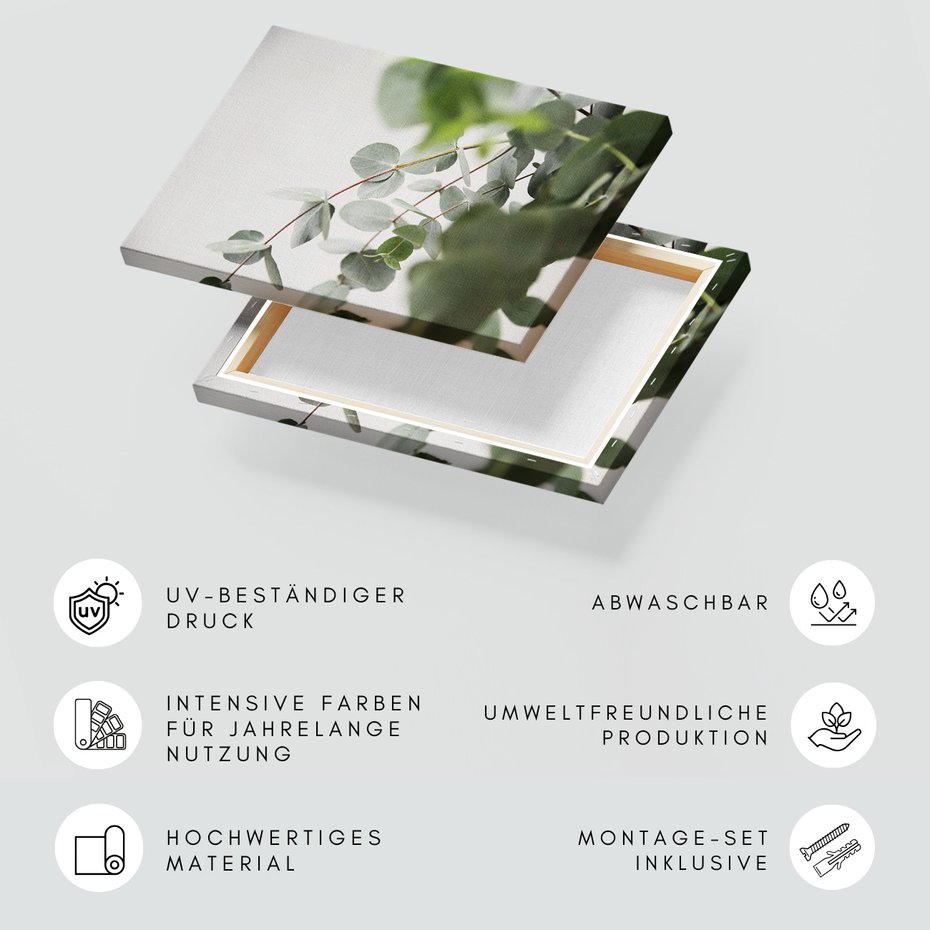 Obraz na płótnie - eukaliptus, liście, natura