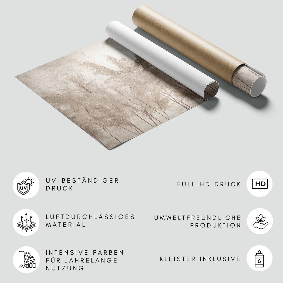 Fototapeta - beton, liście, suche