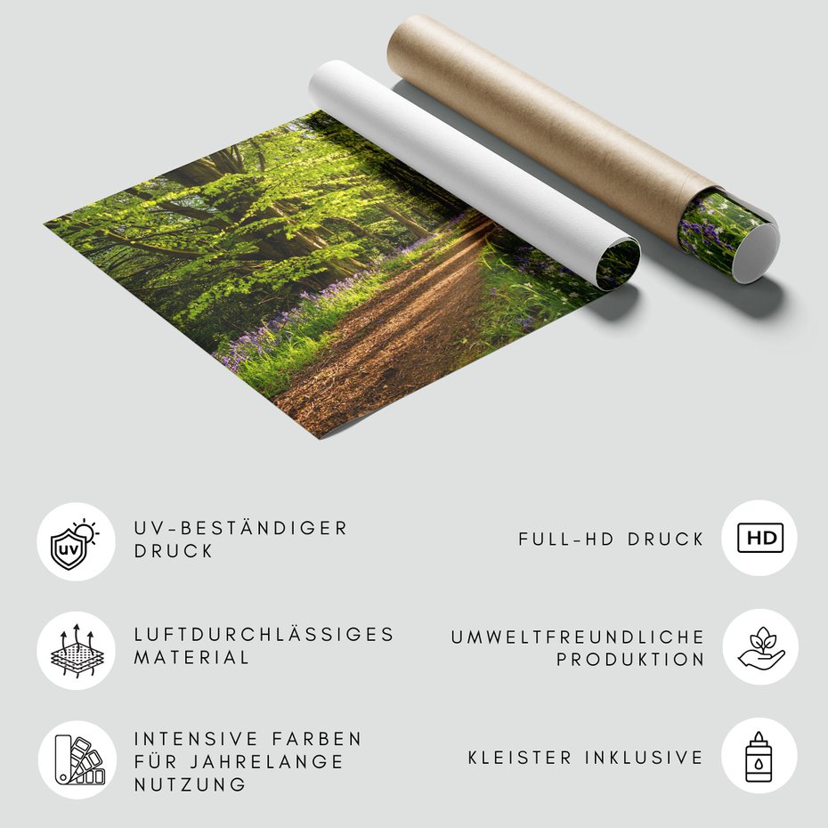 Fototapeta - las, kwiaty, ścieżka