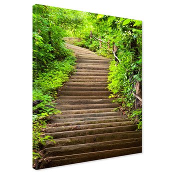 Obraz na płótnie - schody, las, natura