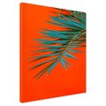 Obraz na płótnie - liść palmy, pomarańczowy, abstrakcja