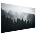 Obraz na płótnie - las, mgła, drzewa