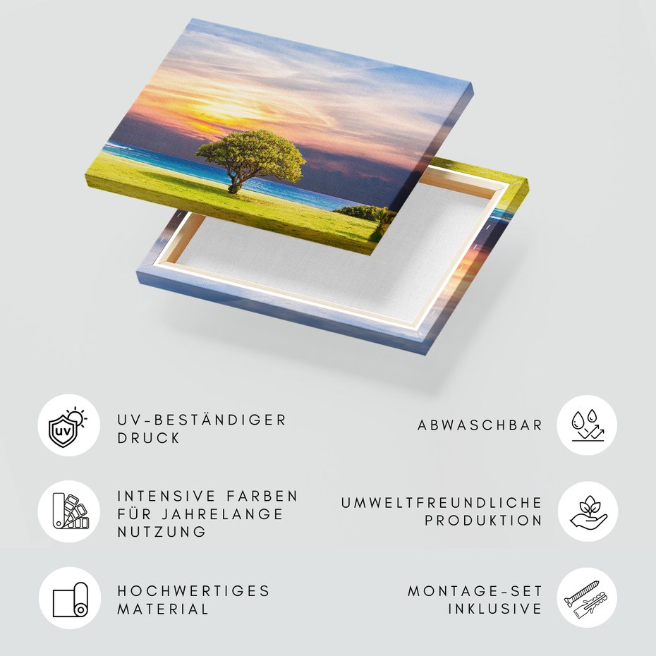 Obraz na płótnie - plaża, morze, drzewo