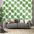 Tapeta - liście, monstera, wzór