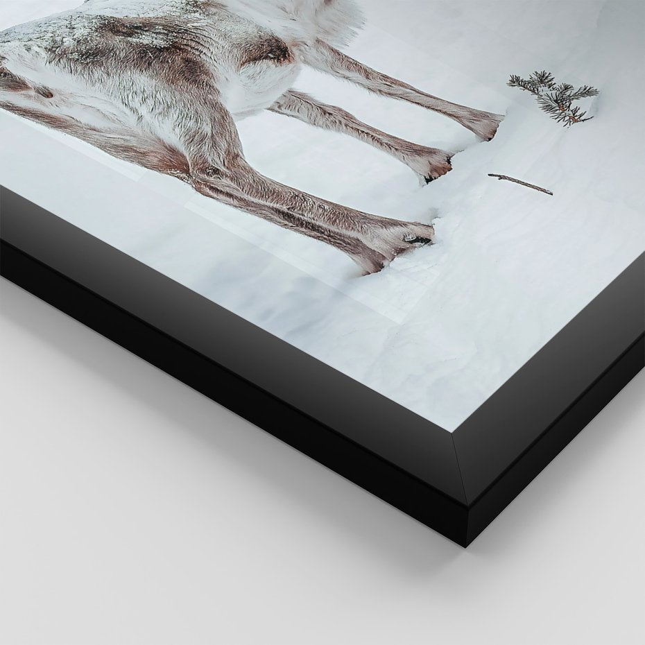 Zestaw obrazy w ramie, plakaty - renifer, śnieg, zima - rama czarna