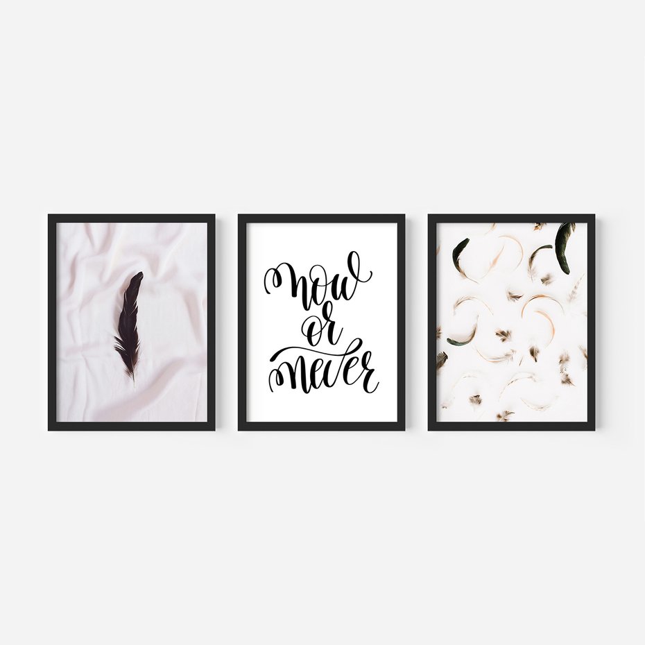 Zestaw obrazy w ramie, plakaty - pióro, minimalizm, tło - rama czarna