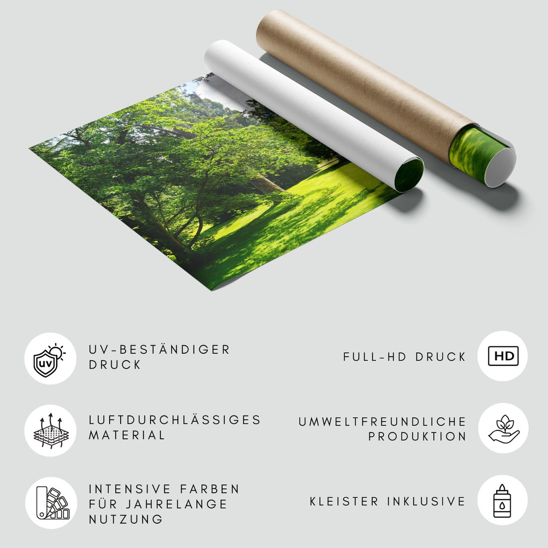 Fototapeta - las, trawa, drzewa