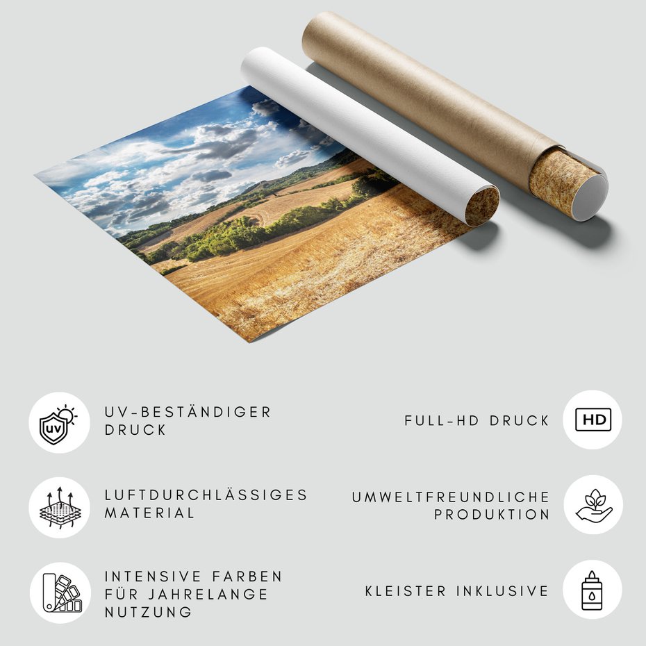 Fototapeta - krajobraz, pola, niebo