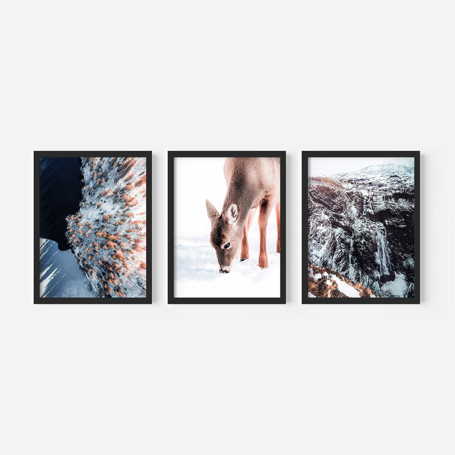 Zestaw obrazy w ramie, plakaty - zima, śnieg, natura - rama czarna
