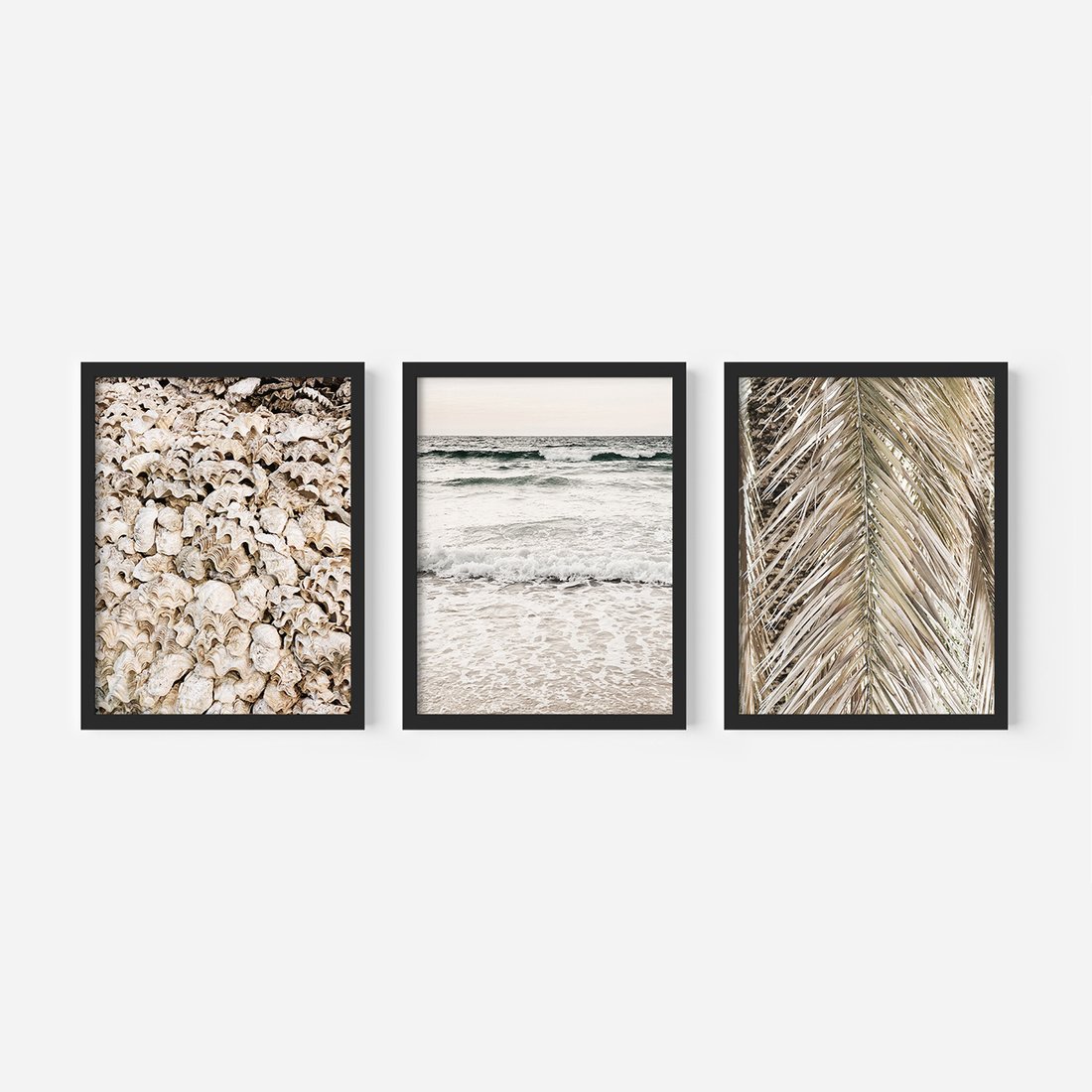 Zestaw obrazy w ramie, plakaty - muszle, morze, liście - rama czarna