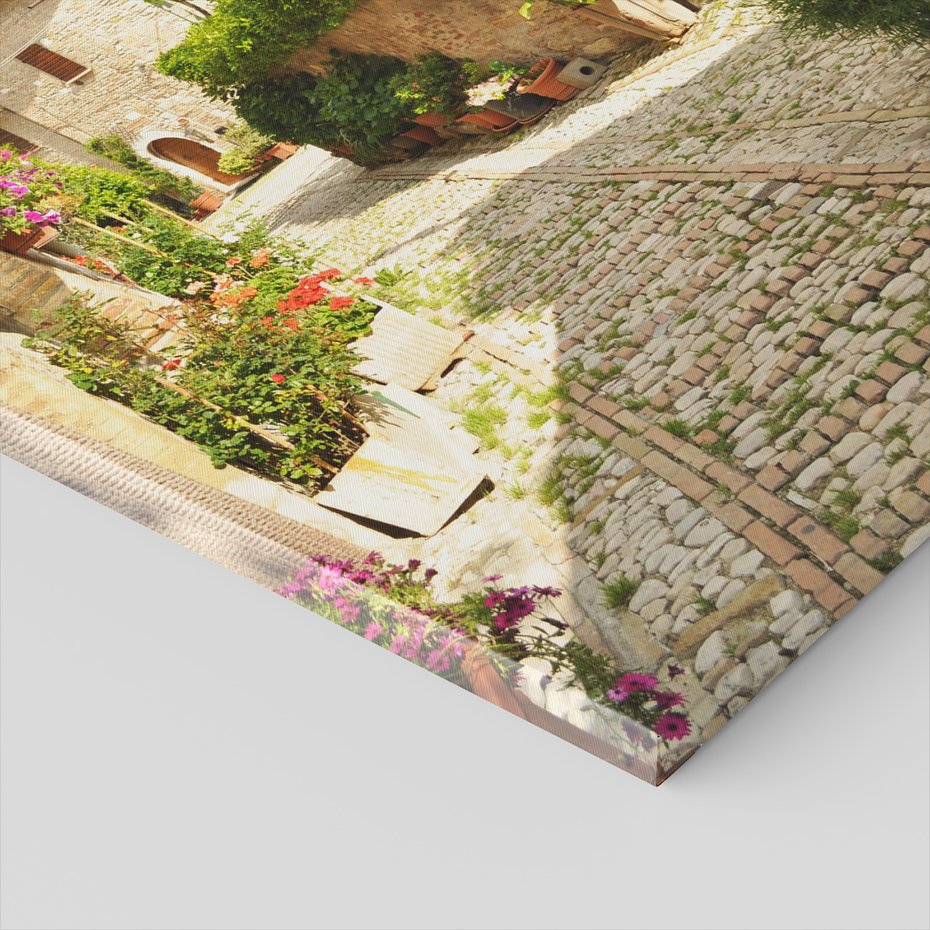 Obraz na płótnie - uliczka, kwiaty, kamienie