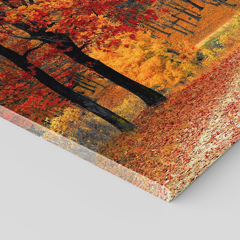 Obraz na płótnie - jesień, liście, las