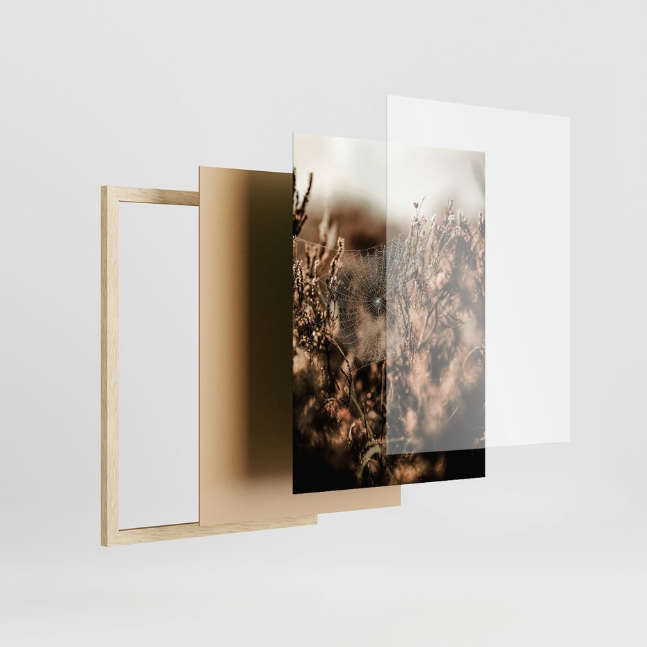 Zestaw obrazy w ramie, plakaty - przyroda, pajęczyna, owoce - rama drewno