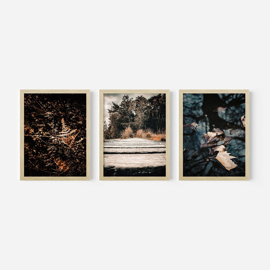Zestaw obrazy w ramie, plakaty - natura, liście, drzewa - rama drewno