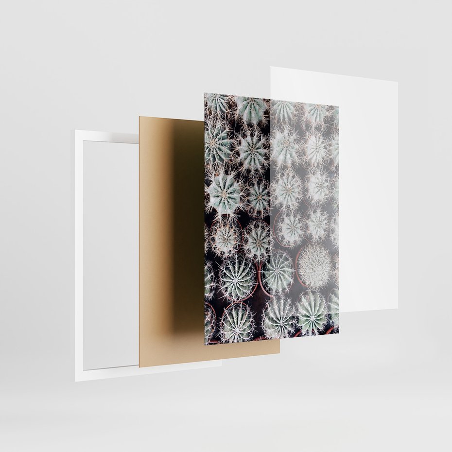 Zestaw obrazy w ramie, plakaty - kaktusy, rośliny, kolce - rama biała