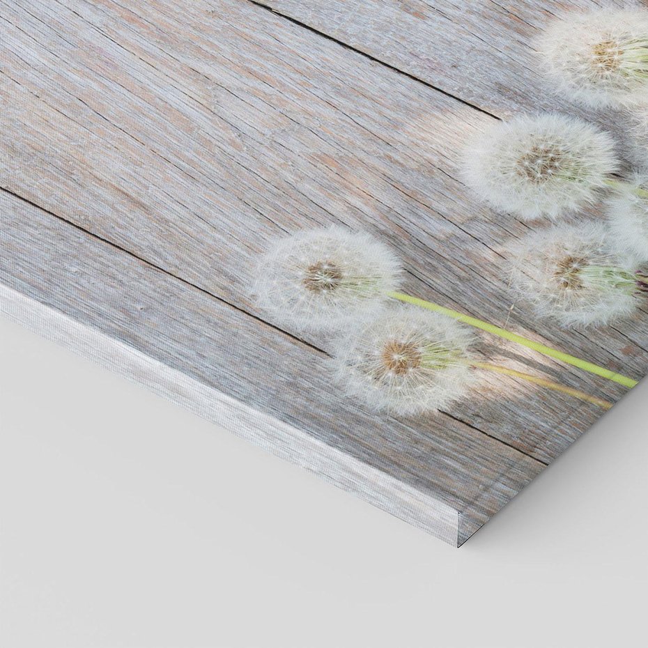 Obraz na płótnie - dmuchawce, drewno, natura