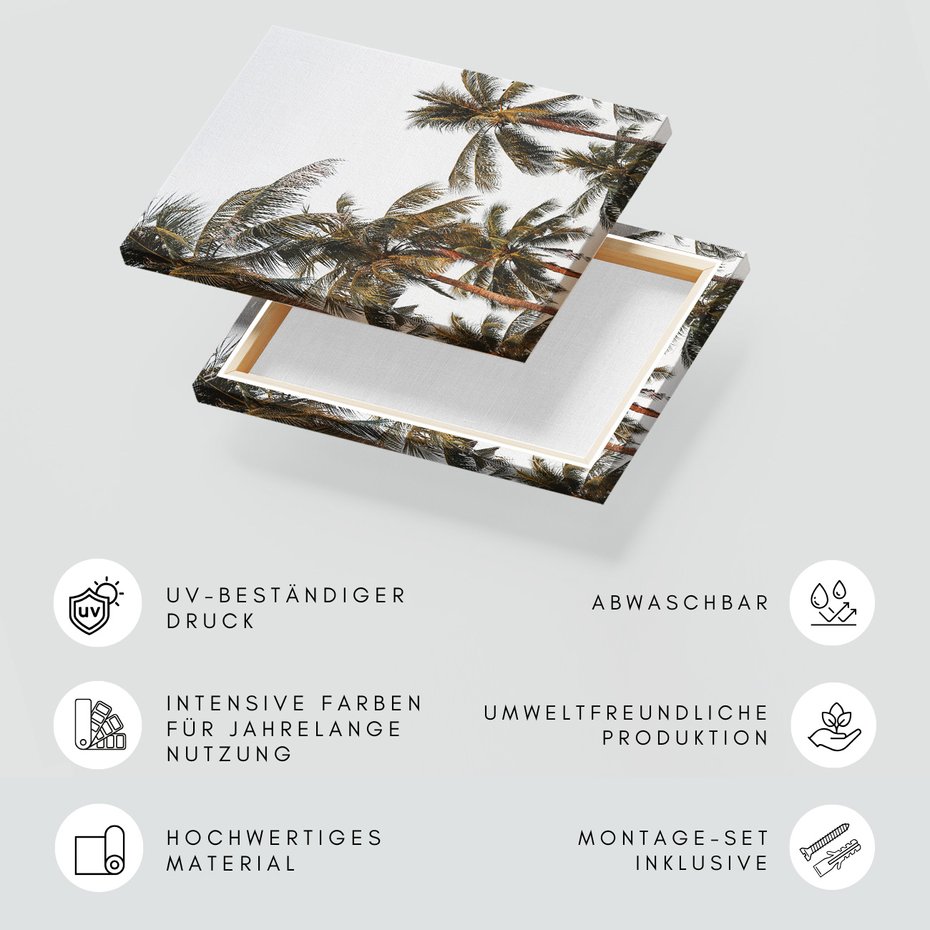 Obraz na płótnie - palmy, tropiki, liście