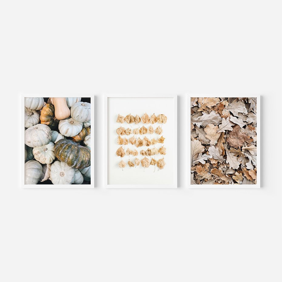 Zestaw obrazy w ramie, plakaty - dynie, liście, jesień - rama biała