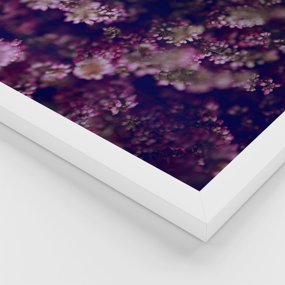 Zestaw obrazy w ramie, plakaty - lawenda, pole, kwiaty - rama biała