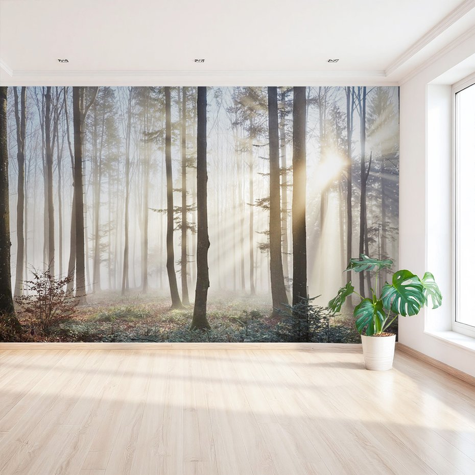 Fototapeta - las, mgła, drzewa