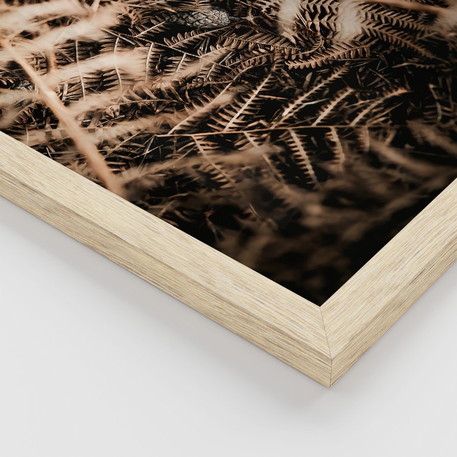 Zestaw obrazy w ramie, plakaty - natura, liście, góry - rama drewno